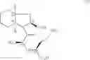 Fig. 04 - Process for the synthesis of (2S,3aS,7aS)-1-[(S)-alanyl]-octahydro-1-indole-2-carboxylic acid compounds and application in the synthesis of perindopril