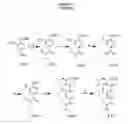 Fig. 03 - Terephthalamide peptidomimetic compounds and methods