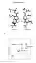 Fig. 05 - Terephthalamide peptidomimetic compounds and methods