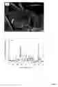 Fig. 02 - Dental releasing materials