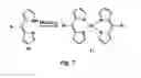 Fig. 10 - Stepwise growth of oligomeric redox-active molecules on a surface without the use of protecting groups