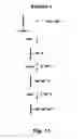 Fig. 13 - Stepwise growth of oligomeric redox-active molecules on a surface without the use of protecting groups
