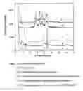 Fig. 03 - Process for making exfoliated polyolefin/clay nanocomposites