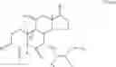Fig. 09 - 7α-biscarbonyl-substituted steroid compounds