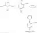 Fig. 08 - Nitrogen-containing monodentate phosphines and their use in catalysis