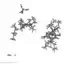 Fig. 03 - Method of using rhodium quinonoid catalysts