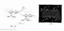 Fig. 11 - Method of using rhodium quinonoid catalysts