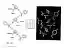 Fig. 12 - Method of using rhodium quinonoid catalysts