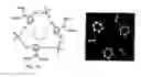Fig. 13 - Method of using rhodium quinonoid catalysts