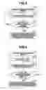 Fig. 07 - Endoscope device