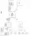 Fig. 02 - Neuropsychological assessment platform (NPAP) and method