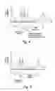 Fig. 05 - Ophthalmic instruments, systems and methods especially adapted for conducting simultaneous tonometry and pachymetry measurements