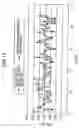 Fig. 12 - Pulse wave data analyzing method, system, and program product