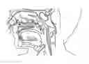 Fig. 01 - Methods and devices for non-invasive cerebral and systemic cooling