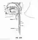 Fig. 35 - Methods and devices for non-invasive cerebral and systemic cooling