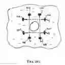 Fig. 43 - INSTRUMENT ASSISTED ABDOMINAL ACCESS