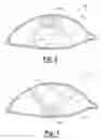 Fig. 03 - Method for treating ocular disorders