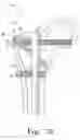 Fig. 19 - Multiple purpose nail, nail assembly and associated method
