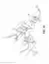 Fig. 37 - Surgical navigation systems and processes for unicompartmental knee arthroplasty