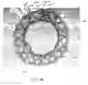 Fig. 07 - ANASTOMOTIC DEVICE PROMOTING TISSUE NECROSIS