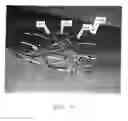 Fig. 09 - ANASTOMOTIC DEVICE PROMOTING TISSUE NECROSIS