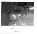 Fig. 16 - ANASTOMOTIC DEVICE PROMOTING TISSUE NECROSIS