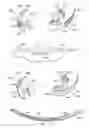 Fig. 16 - System and method for making incisions for scleral eye implants