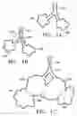 Fig. 02 - DEVICES AND METHODS FOR MAINTAINING COLLATERAL CHANNELS IN TISSUE