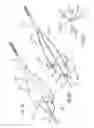 Fig. 12 - Embolic filtering devices