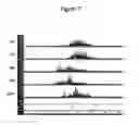Fig. 07 - Methods and devices for intramuscular stimulation of upper airway and swallowing muscle groups