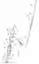 Fig. 06 - Modular stent graft assembly and use thereof