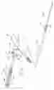 Fig. 08 - Modular stent graft assembly and use thereof