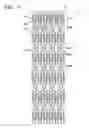 Fig. 07 - Vascular stent which is specially designed for the multiple drug loading and better drug elution
