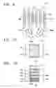 Fig. 09 - Vascular stent which is specially designed for the multiple drug loading and better drug elution
