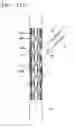 Fig. 14 - Vascular stent which is specially designed for the multiple drug loading and better drug elution
