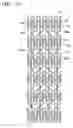Fig. 21 - Vascular stent which is specially designed for the multiple drug loading and better drug elution
