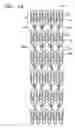 Fig. 22 - Vascular stent which is specially designed for the multiple drug loading and better drug elution