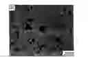 Fig. 01 - PSEUDOELASTIC POROUS SHAPE MEMORY MATERIALS FOR BIOMEDICAL AND ENGINEERING APPLICATIONS