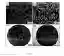 Fig. 04 - PSEUDOELASTIC POROUS SHAPE MEMORY MATERIALS FOR BIOMEDICAL AND ENGINEERING APPLICATIONS