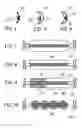 Fig. 09 - Apparatuses and methods for heart valve repair