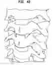 Fig. 43 - Intervertebral disc and insertion methods therefor