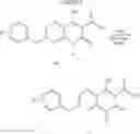 Fig. 13 - 2-oxonaphthyridine-3-carboxamides HIV integrase inhibitors