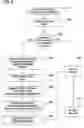 Fig. 07 - Database staging area read-through or forced flush with dirty notification