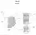 Fig. 02 - Method for quantifying plant resources using GIS