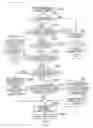Fig. 14 - Failure tolerant transaction processing system