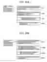 Fig. 21 - Storage control method for managing access environment enabling host to access data