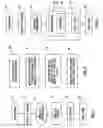 Fig. 02 - Integrated Mobile Diagnostics and Electronic Customer Care Test Script with Browser
