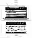 Fig. 13 - Embedded system and method for controlling, monitoring of instruments or devices and processing their data via control and data protocols that can be combined or interchanged