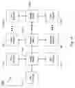 Fig. 02 - Global memory for a rapidio network