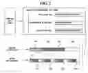 Fig. 03 - Method and apparatus for transmitting data in wireless network